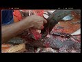 amazing giant pangasius catfish cutting by expert fish cutter 2021 fish cutting skills