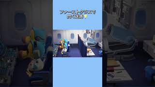 【あつ森】メーデーに向けてファーストクラスの飛行機に乗ってやって来た、みしらぬネコ。新たな迷路を閃いた？！【ACNH】 #shorts