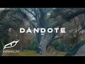 Sartiboy & Lary Over - Dándote (Remix) Music Video
