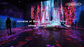 Universe of Water Particles on a Rock where People Gather / 人々のための岩に憑依する滝