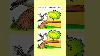 Can you find the hidden differences?