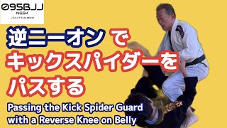 【ニーオン】キックスパイダーに対するパスガード【逆ニーオン】　Passing the Kick Spider Guard with a Reverse Knee on Belly