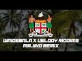 majiko waidebala x velody riddims remix