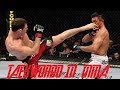 TAEKWONDO FIGHTERS IN MMA HIGHLIGHTS 2017