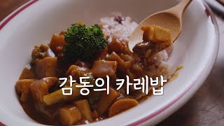 매일 먹고 싶은 맛이에요! 9가지 채소로 끓인 정성 가득 카레🍛 정위스님 카레밥 채식 비건 Korean vegan cooking curry