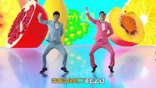 筷子兄弟 Chopsticks Brothers【小水果 Little Fruit】官方M/V