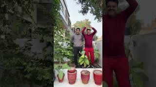 Bara mushkil ay charayi karna 😂 #funny #youtubeshorts #comedy #fun #haha