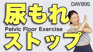 【3分】誰でも簡単に鍛えられる骨盤底筋トレーニング【尿もれ、腰痛、ぽっこりお腹解消】　毎日投稿895日目　3 min Pelvic Floor Exercise