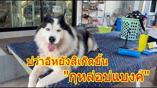 ยายหนูบ่มักตัดเล็บหนูย้าน