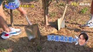 【請問今晚住誰家】EP677 打工遇上傳家寶 三兄弟就怕有遺憾？！王傳一、陳漢典 週一至週四晚間10點 東森超視33頻道