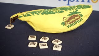 Bananagrams WildTiles from Bananagrams