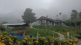 TABLE TOP RESORT -POOVARANTHODE