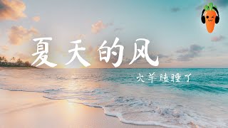 夏天的风 - 火羊瞌睡了【原唱：温岚】「超高无损音質」 ♪【動態歌詞Lyrics】♪