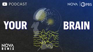 (Podcast Version) Your Brain | NOVA Remix