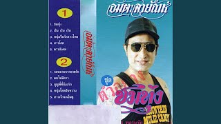 ดาวสังคม