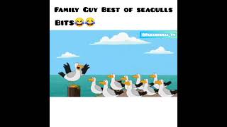 #seagulls #meme #funny #comedy #familyguy #humor #shorts #youtubeshorts #hdmi #youtube #viral