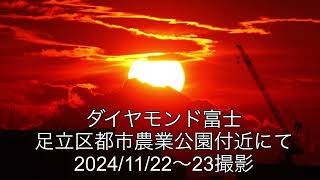 足立区都市農業公園からのダイヤモンド富士-Diamond Fuji at Adachi TOKYO