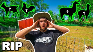 My BACKYARD FARM Animal is DEAD!!! (I Caught the Killer)