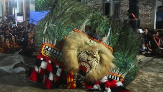 JOSS LURR ‼️ ATRAKSI GULUNG TERGANAS PEMBARONG REOG HARIMAU TENGGARA BIKIN HOREG