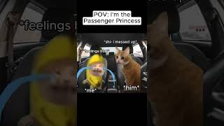 POV: Passenger Princess 🐱 CAT MEMES  #catmemes #couplecomedy #relationship #relatable #shorts