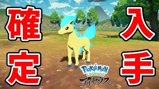 序盤の方で確定入手できる色違いポニータの捕まえ方を教えます【Pokémon LEGENDS アルセウス】