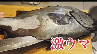 これだけは教えたくない石鯛の食べ方！