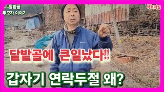 달밭골에 무슨일 생겼나 / 갑자기 연락두절~ 왜?