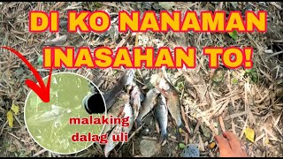 P2 DI KO INASAN TONG MGA MAHUHULI KO  /Airgun Fishing /Fishgunerong Madiskarte0