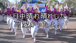 阿波踊りパフォーマンス！　天保連　とくしまマラソン2023イベント