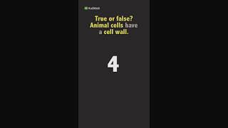 Biology Quiz: True or false? Animal cells have a cell wall.