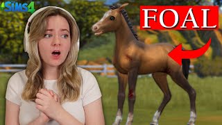 RESCUING ABANDONED FOALS - Sims 4 Horse Rescue | Pinehaven