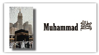 Mohammad Ke Shaher Mein 🌹 | Qawwali Status | islamic Whatsapp Status | SAHIL 313