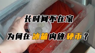 出远门时，在冰箱里放一枚“硬币”是为何？关键时刻有“大作用”