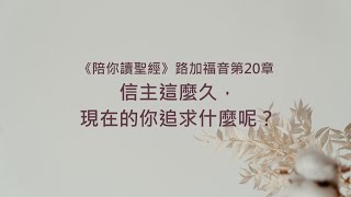 路加福音20章/陪你讀聖經《信主這麼久，現在的你追求什麼呢？》