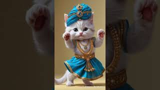 Dancing Kitten Takes Over the Internet! 😻🎶