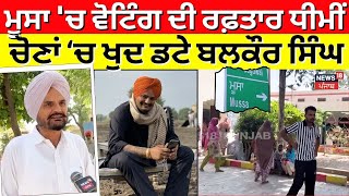 Mansa News | ਮੂਸਾ 'ਚ ਵੋਟਿੰਗ ਦੀ ਰਫ਼ਤਾਰ ਧੀਮੀਂ, Panchayat Election 'ਚ ਖੁਦ ਡਟੇ Balkaur Singh | N18V