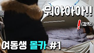 ENG, JPN) 퇴근 했는데 내 침대에 누군가 누워있다면??(여동생 몰카 / Hidden camera in sister's room)