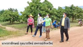 สหกรณ์จังหวัดชัยภูมิ ลงพื้นที่กลุ่มสตรีสหกรณ์บ้านโหล่น สังกัดสหกรณ์การเกษตรหนองบัวแดง จำกัด