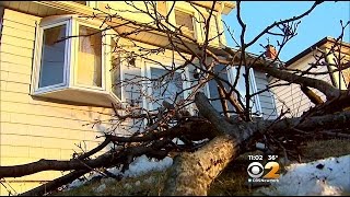 Strong Winds Take Down Trees, Power Lines