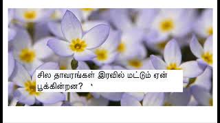 இரவில் மட்டும் பூக்கும்  தாவரங்கள்? why does certain plants bloom only at night?