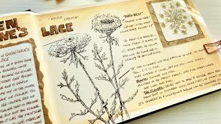 Mixed Media Ideas for Your Nature Journal