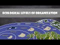 Ecological Levels of Organization | Ecology