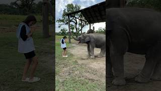 “The Elephant’s Blessing” at Sauraha Chitwan Nepal