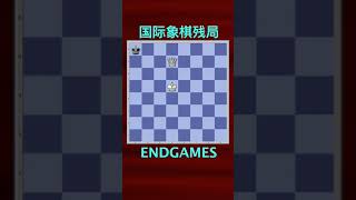 【国际象棋残局】【4】单后杀王 （1）(Chess Endgames)