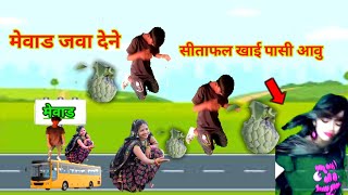 मेवाड़ जावा दे सिताफल खाई पाछी आवु  | Mewad Jawa De Bapa Garasiya new timli video