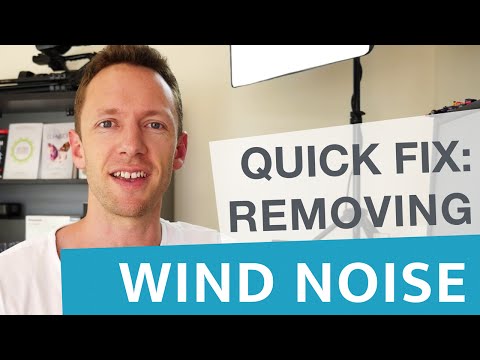 Remove Wind Noise in Videos: Quick Audio Fix