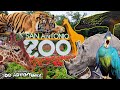 SAN ANTONIO ZOO TOUR! Reptile House, Aquarium, Rhinos, and more!