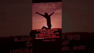 என் தேவனாலே ஒரு மதிலைத் தாண்டுவேன். சங்கீதம்18:29@Israel 🕊️ ministries #johnjebaraj #Christiansongs