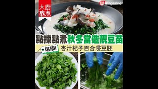 【#大廚教煮】點揀點煮秋冬當造靚豆苗