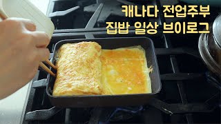 🇨🇦집밥 일상브이로그ㅣ육개장, 참치 회덮밥(포케볼), 돼지 김치찌개, 막걸리 만들기ㅣ살림로그ㅣ 집밥 메뉴 레시피ㅣ집순이 전업주부 일상로그ㅣ캐나다 일상 브이로그